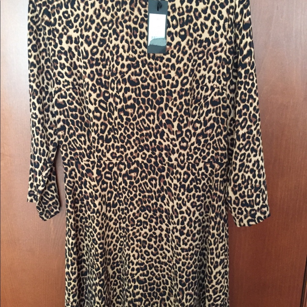 Dynamite Leopard print unlined dress